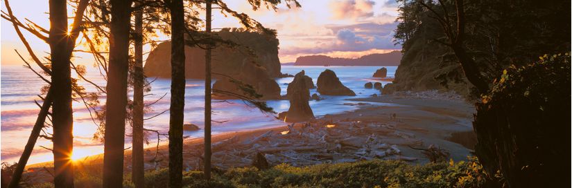 Ruby-Beach-at-Sunset-Olympic-National-Park-Washington