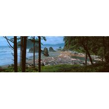 Ruby Beach, Olympic National Park, Washington Wall Mural