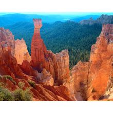 The Hunter and Agua Canyon Wall Mural