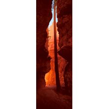 Wall Street, Bryce Canyon National Park, Utah Wall Mural