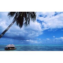 Bungalow In Water Wall Mural