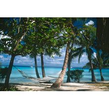 Hammock In Trees - Rangiroa Wall Mural