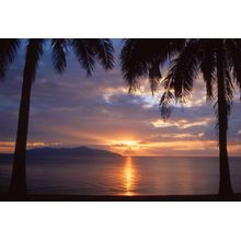 Palm Tree Sunset Reflection Wall Mural