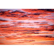 Sky Of Color At Sunset Wall Mural