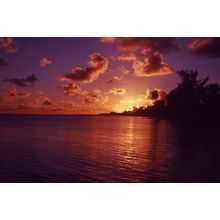 Perfect Beach Sunset Wall Mural