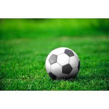 Green Lawn Soccer Wall Mural