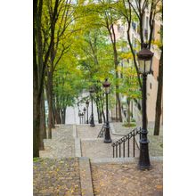 Montmartre Steps Wall Mural