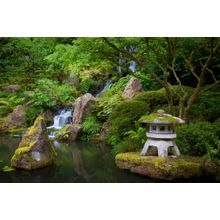 Japanese Garden Wall Mural