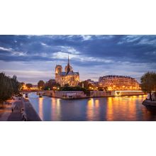 Cathedral Notre Dame Wall Mural