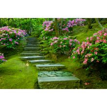 Garden Pathway Wall Mural