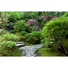 Garden Path Wall Mural