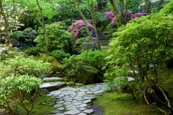 Garden-Path-Wallpaper-Mural