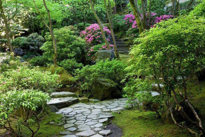 Garden-Path-Wallpaper-Mural