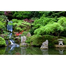 Japanese Garden Waterfall Mural Wallpaper