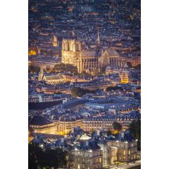 Notre Dame Wall Mural