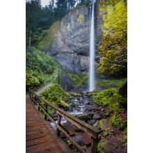 Hiking Trail Bridge at Latourell Falls Wall Mural