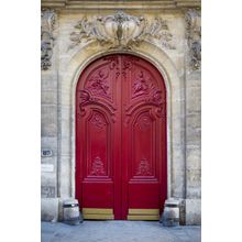 Red Door in Marais Wall Mural