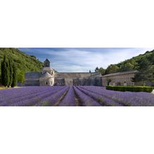 Abbaye De Senanque Wall Mural