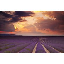 Lavender Sunset 2 Wall Mural