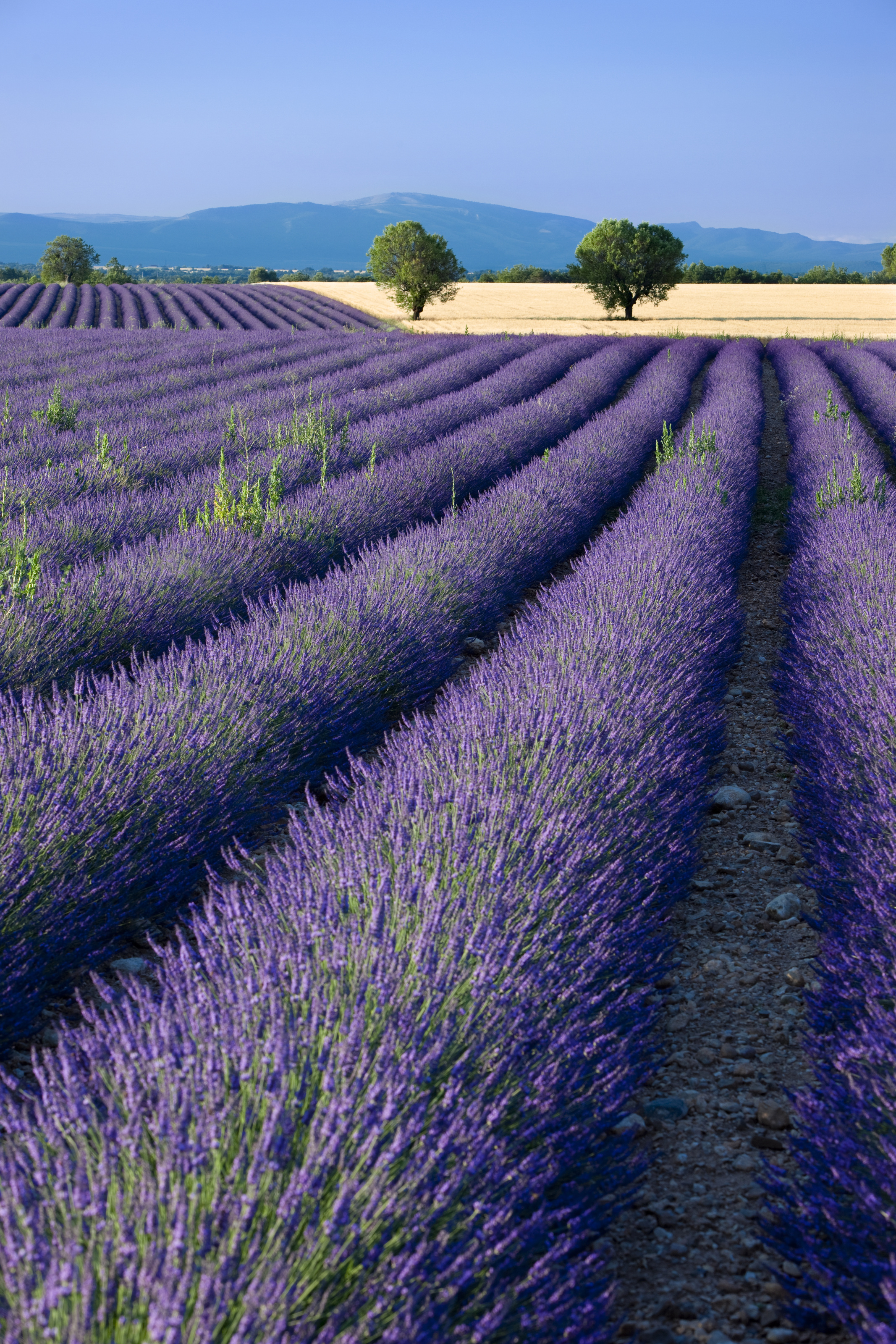 16:9 Landscape Wallpaper (7) - Provence, France | Wallpaper … | Flickr