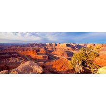 Dead Horse Point Panoramic Wall Mural