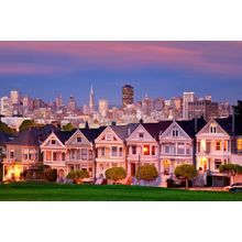 Painted Ladies Wall Mural