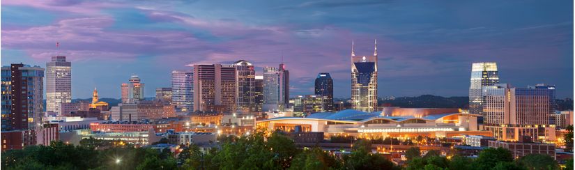 Nashville Skyline Panorama Mural by Brian Jannsen - Murals Your Way