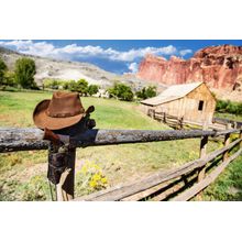 Wild, Wild Country Wall Mural