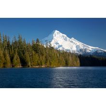 Mt Hood And Lost Lake Wall Mural