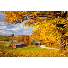 Autumn Morning At Jenne Farm Wall Mural