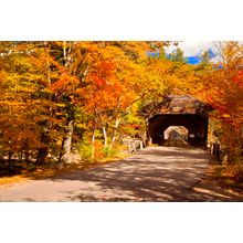 Albany Covered Bridge Wall Mural