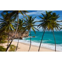 Bottom Bay Beach In Barbados Wall Mural