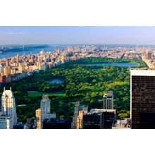Central Park Wall Mural