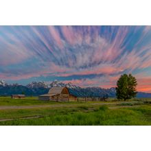 Beneath Teton Glory Wall Mural