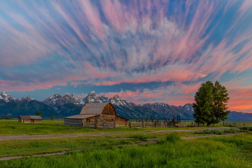 Beneath-Teton-Glory-Wall-Mural