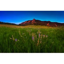 Glowing Flatirons And Wildflowers Wall Mural