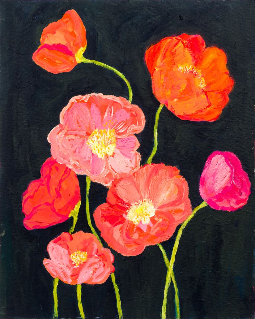 Sunshine Poppies Wallpaper Mural Murals Your Way