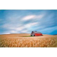 Barn In Wheat Field Wall Mural