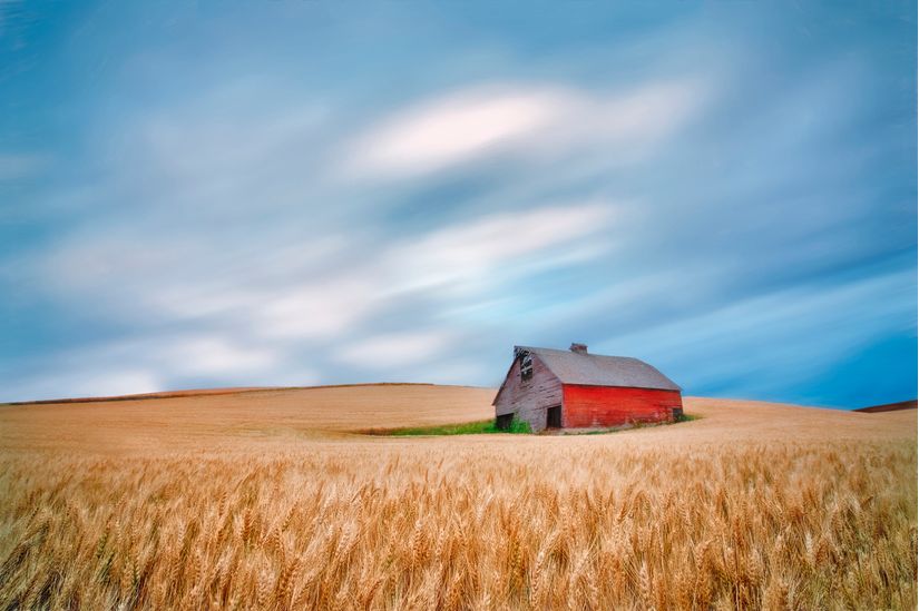 Barn-in-wheat-field-with-approaching-storm-clouds
