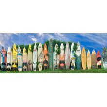 Surfboard Fence Wall Mural