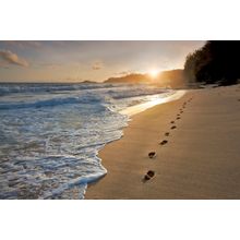 Sunrise Beach With Footprints In The Sand Wall Mural