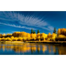 Fall Colored Aspen Trees And Deschutes River Wall Mural