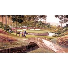 Anywhere On The Green Wall Mural