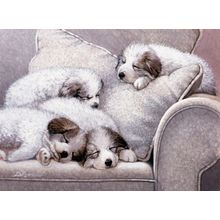 Cozy Companions Wall Mural