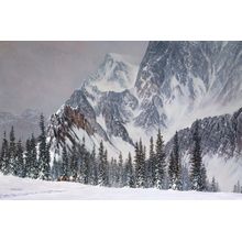Mountain Trail Wall Mural