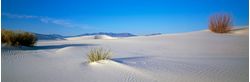 White-Sands-NM-Wallpaper-Mural