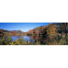 Autumn Colors Wall Mural