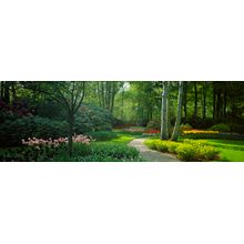 Keukenhof Gardens I Wall Mural