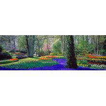 Keukenhof Gardens II Wall Mural