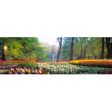 Keukenhof Gardens IV Wall Mural